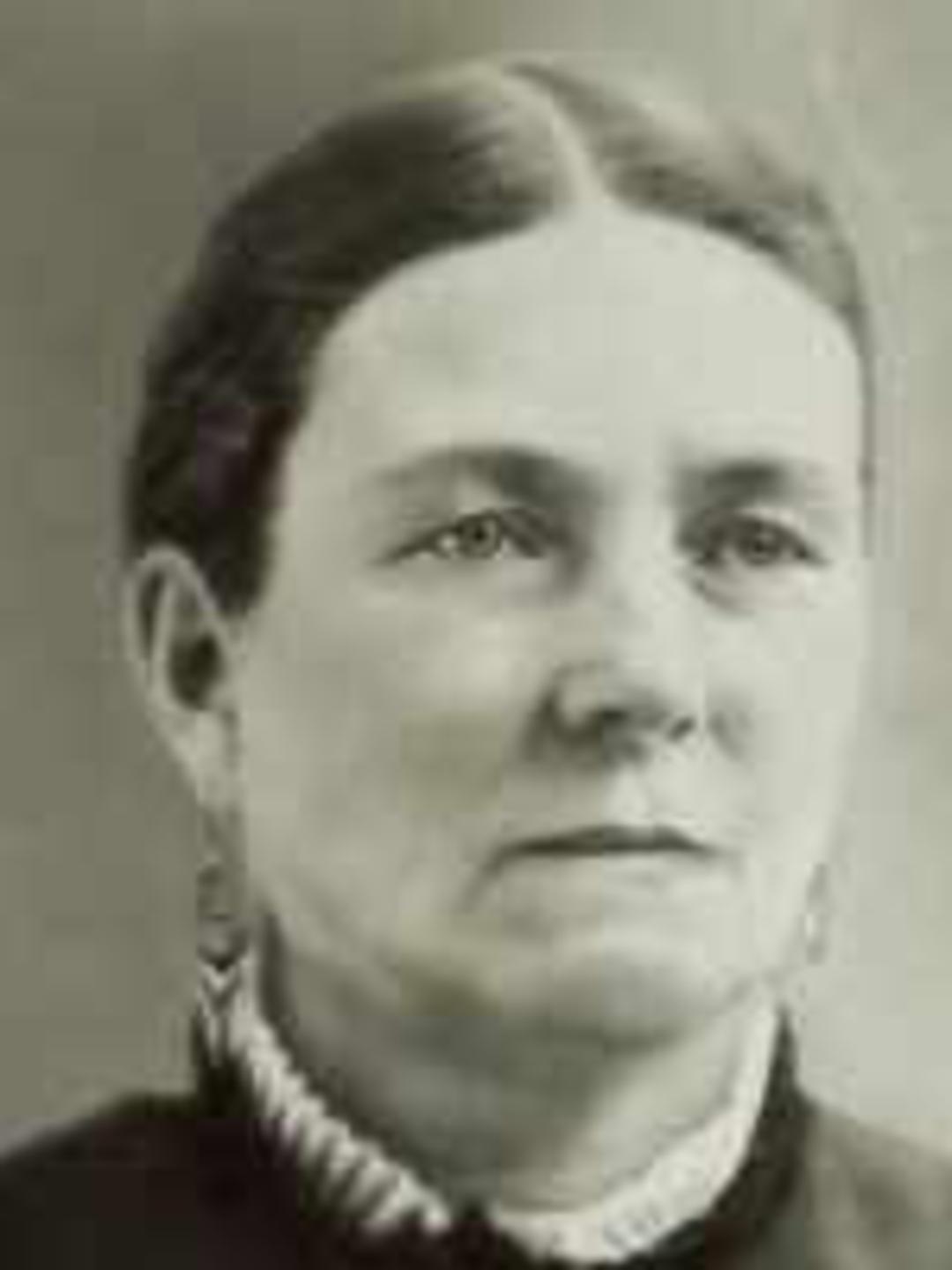 Eliza Jerusha Gibbs (1830 - 1889) Profile
